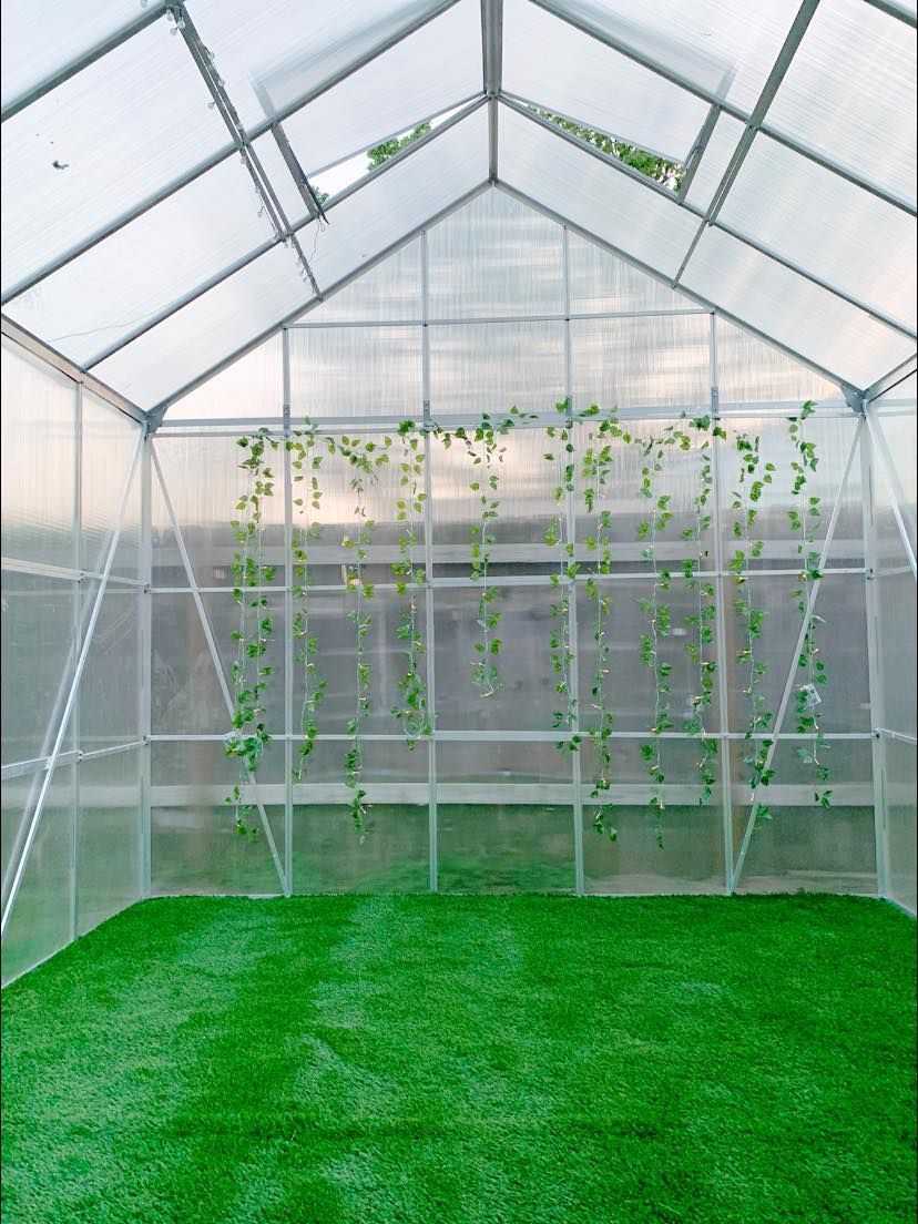 Greenhouse interior with green turf and plants hanging from the ceiling.