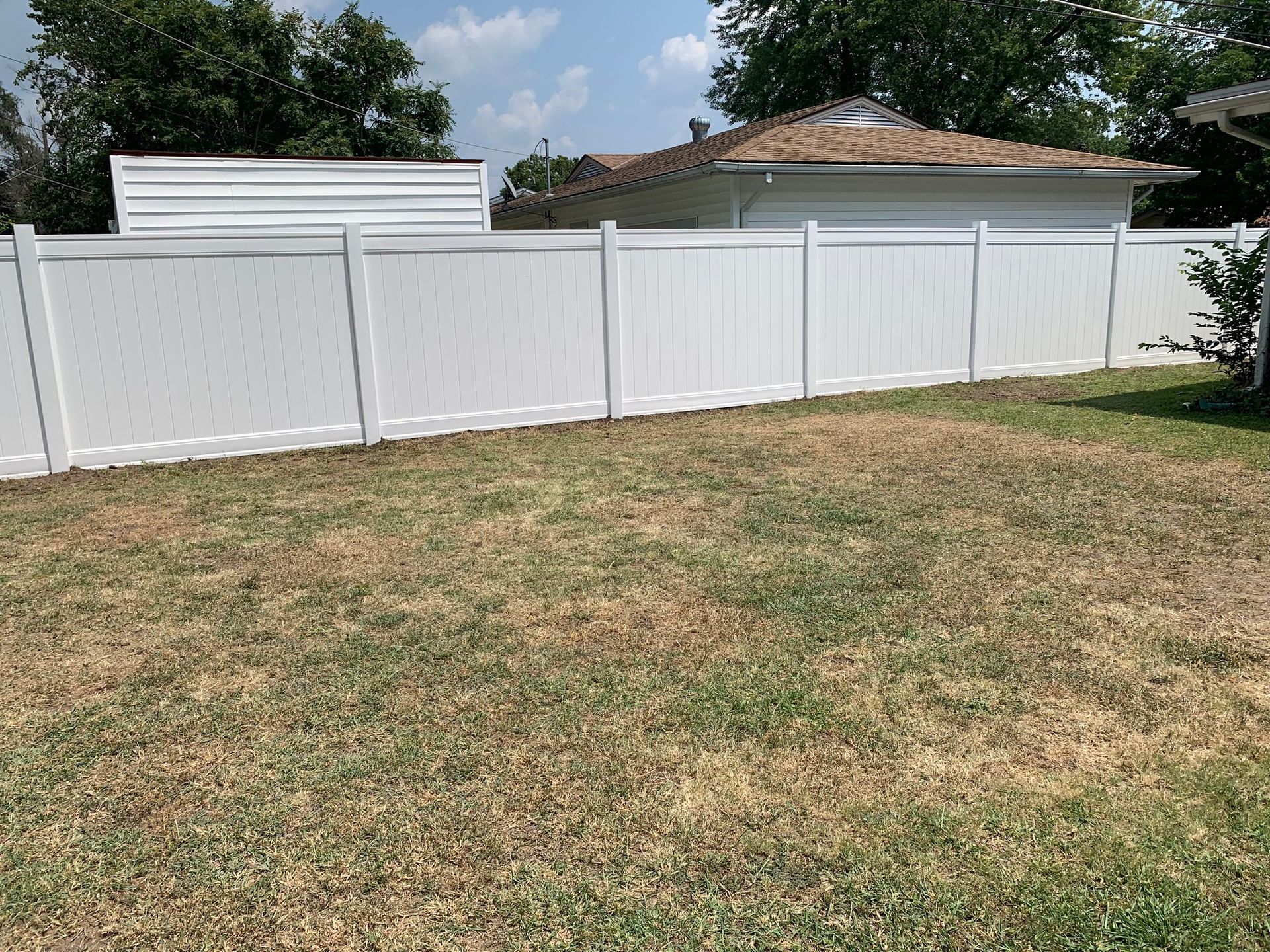 White fence in a backyard with patchy, dry grass; a shed and house are visible behind it.