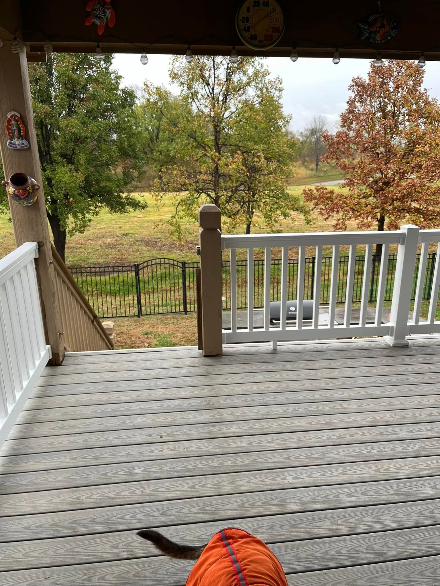 Dog on a gray deck looking at trees with fall foliage. Cloudy day.