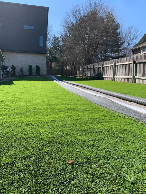 Green lawn with a dark gray path and a wooden fence, under a sunny blue sky.