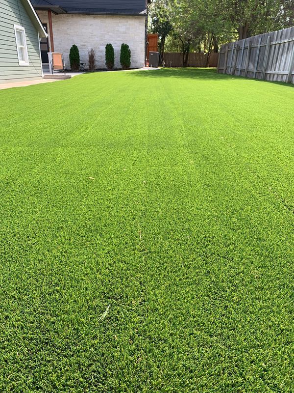 Green artificial lawn in a backyard, with a house and fence visible.