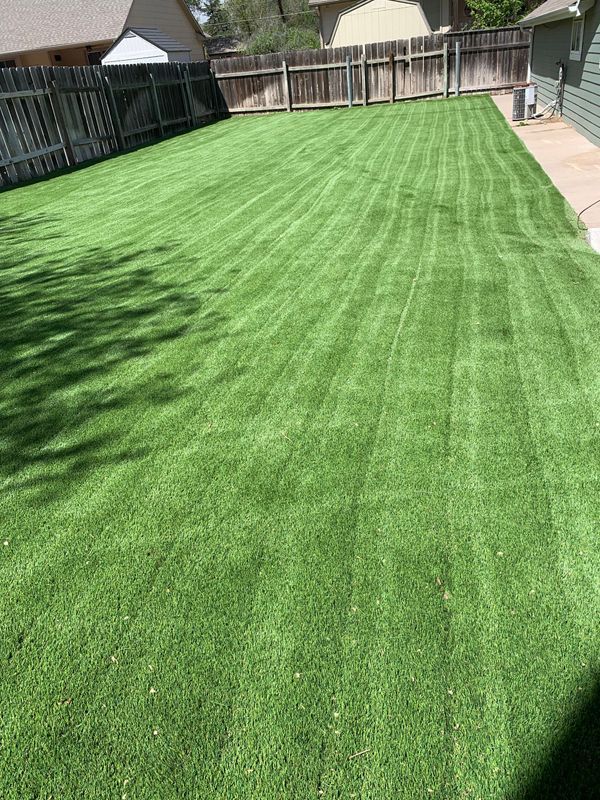Green lawn with freshly cut stripes in a backyard, with a wooden fence in the background.
