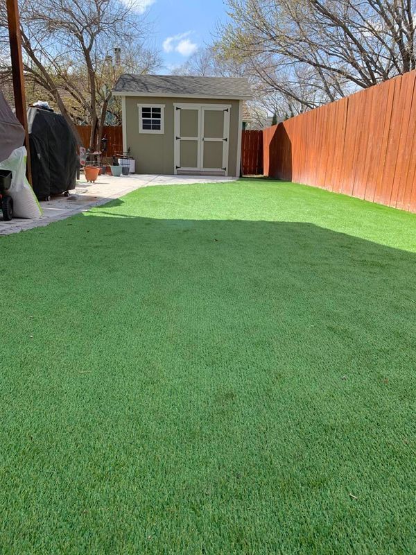 Backyard with green turf, a shed, and a wooden fence under a blue sky.