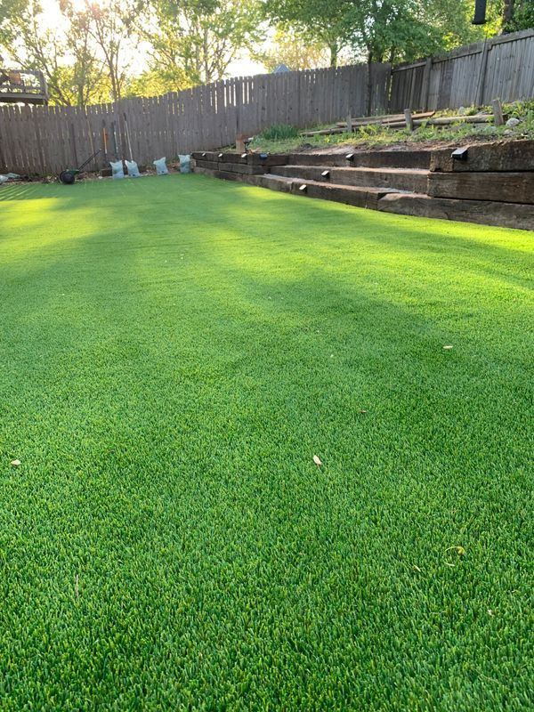 Green lawn in a backyard with a wooden fence and raised garden beds.