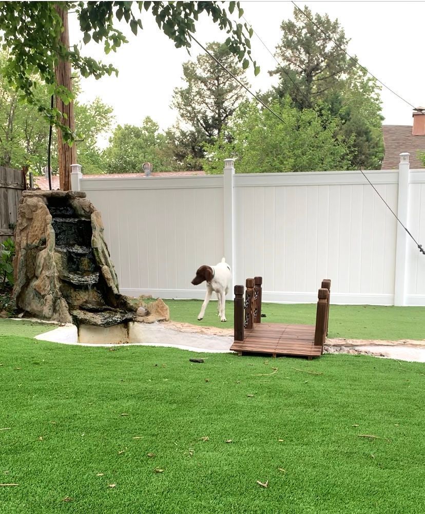 Dog in a backyard with a waterfall and small bridge, green lawn, white fence, and overcast sky.