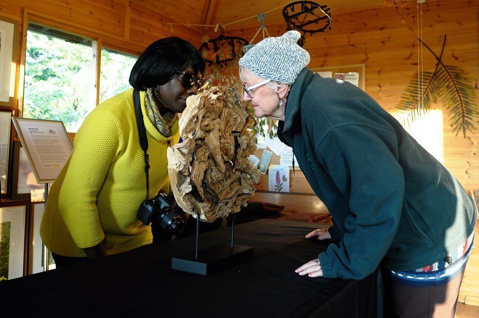 Image of visitors smelling the scented installation