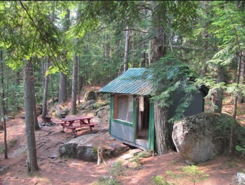 A small cabin in the middle of a forest with a picnic table