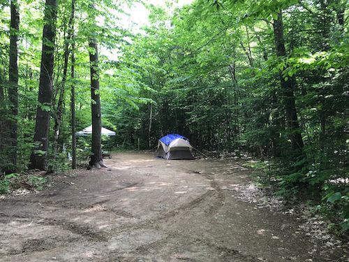 A tent is sitting in the middle of a dirt road in the woods.