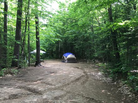Blue tent in a wooded campsite beside a dirt clearing