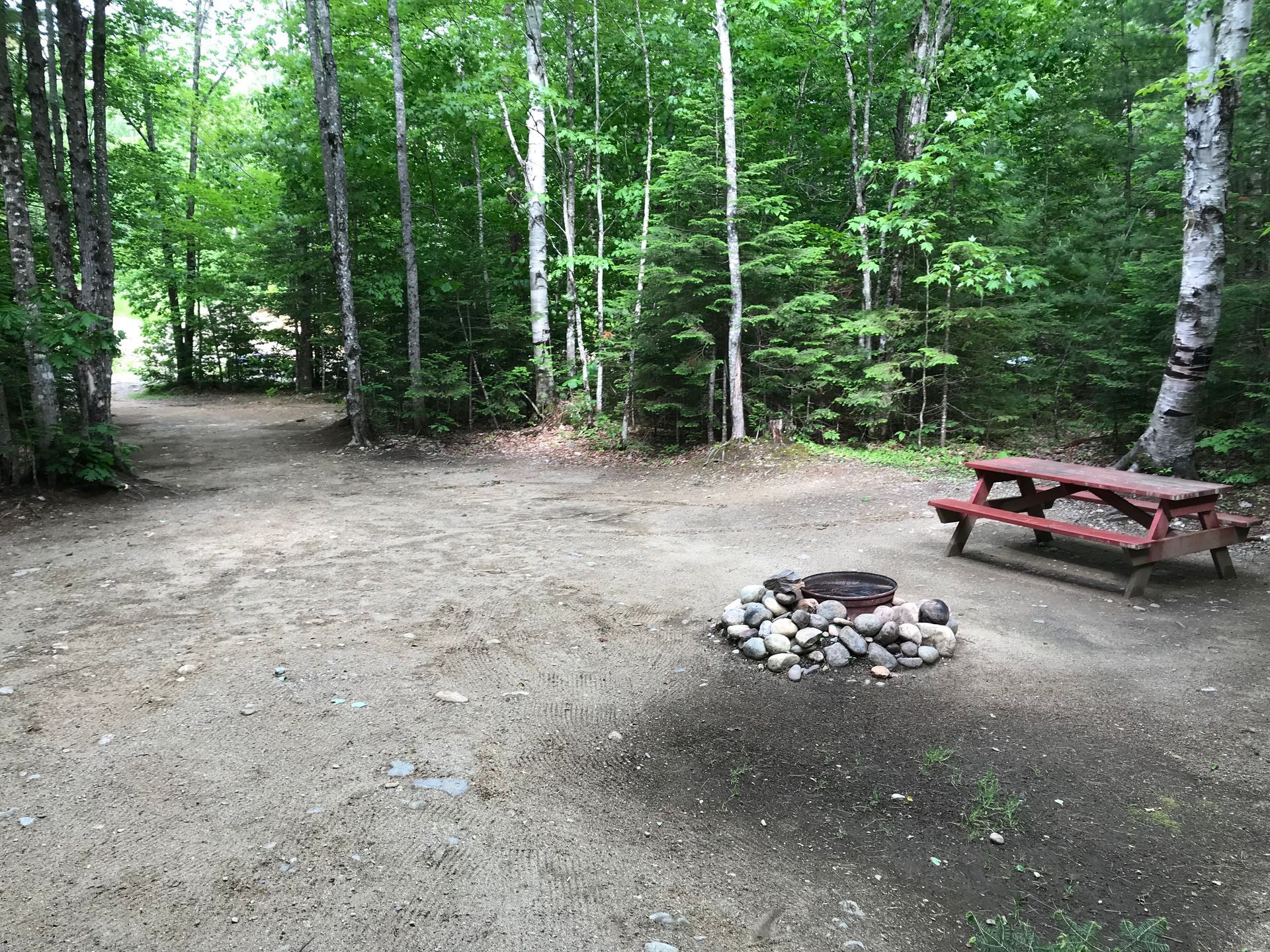 There is a picnic table and a fire pit in the middle of the woods.