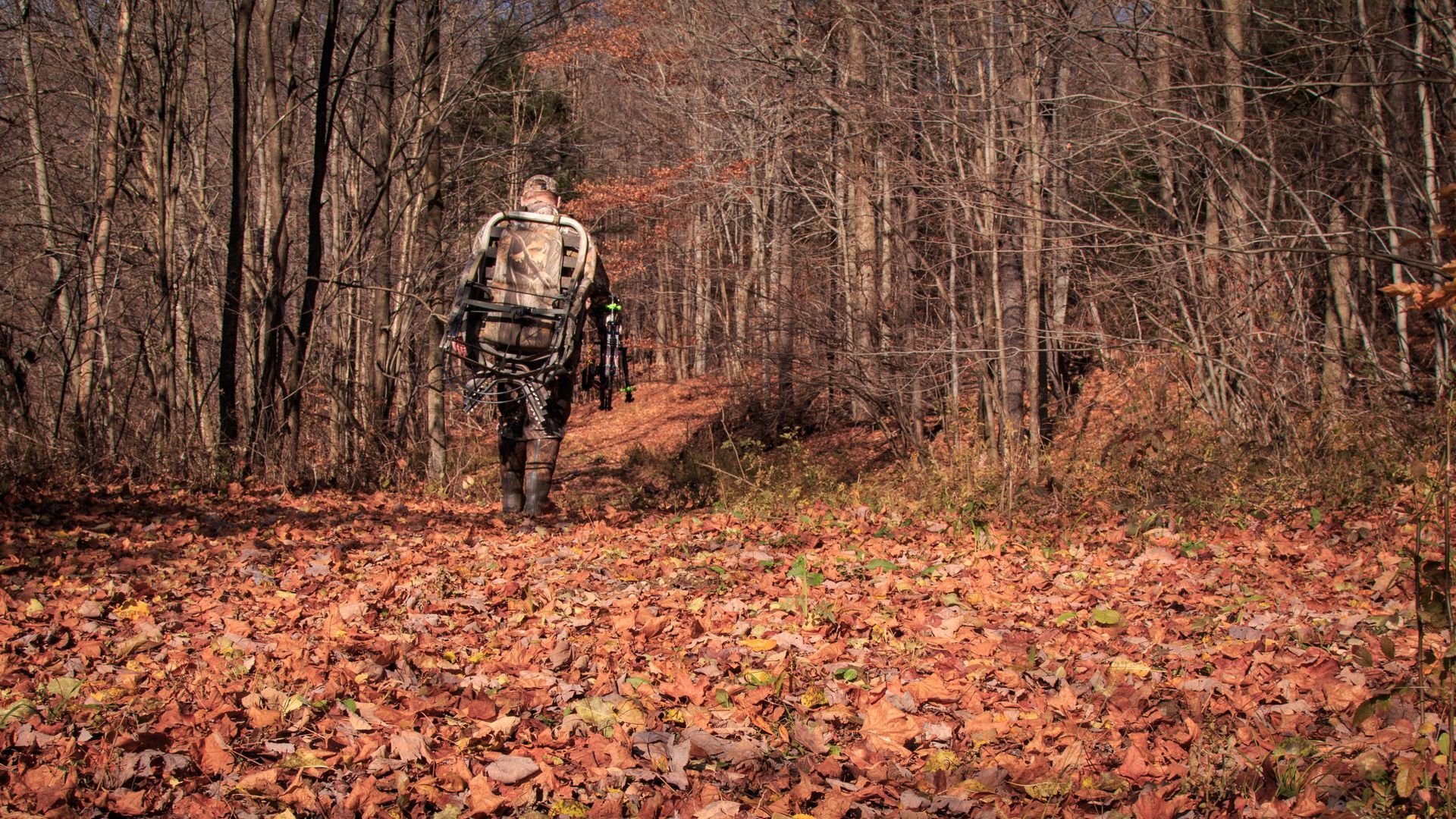 A man is walking down a path in the woods covered in leaves.