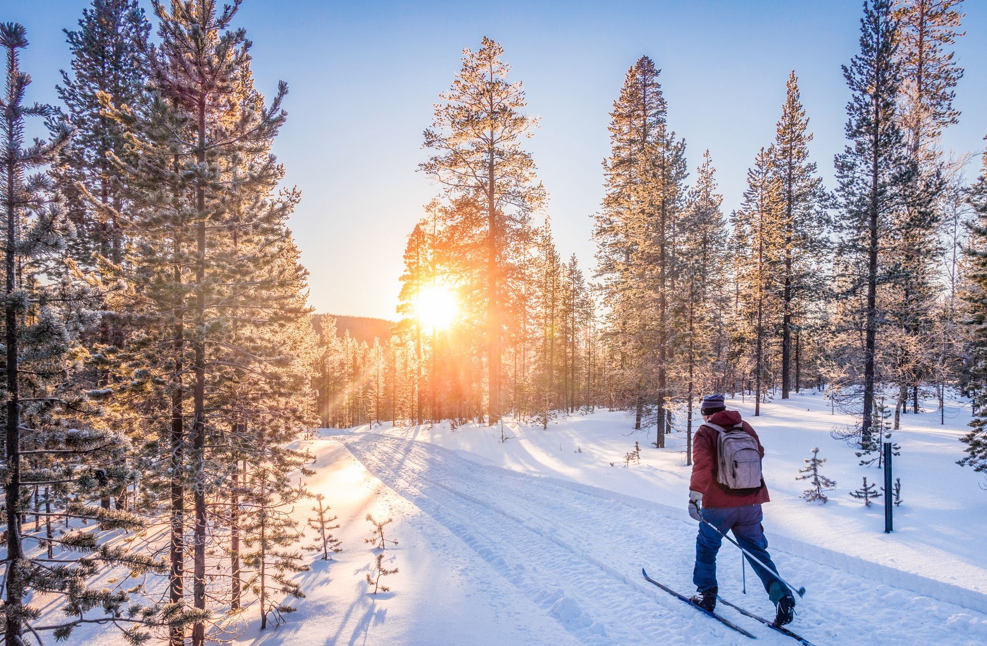 A man is skiing down a snowy path in the woods.