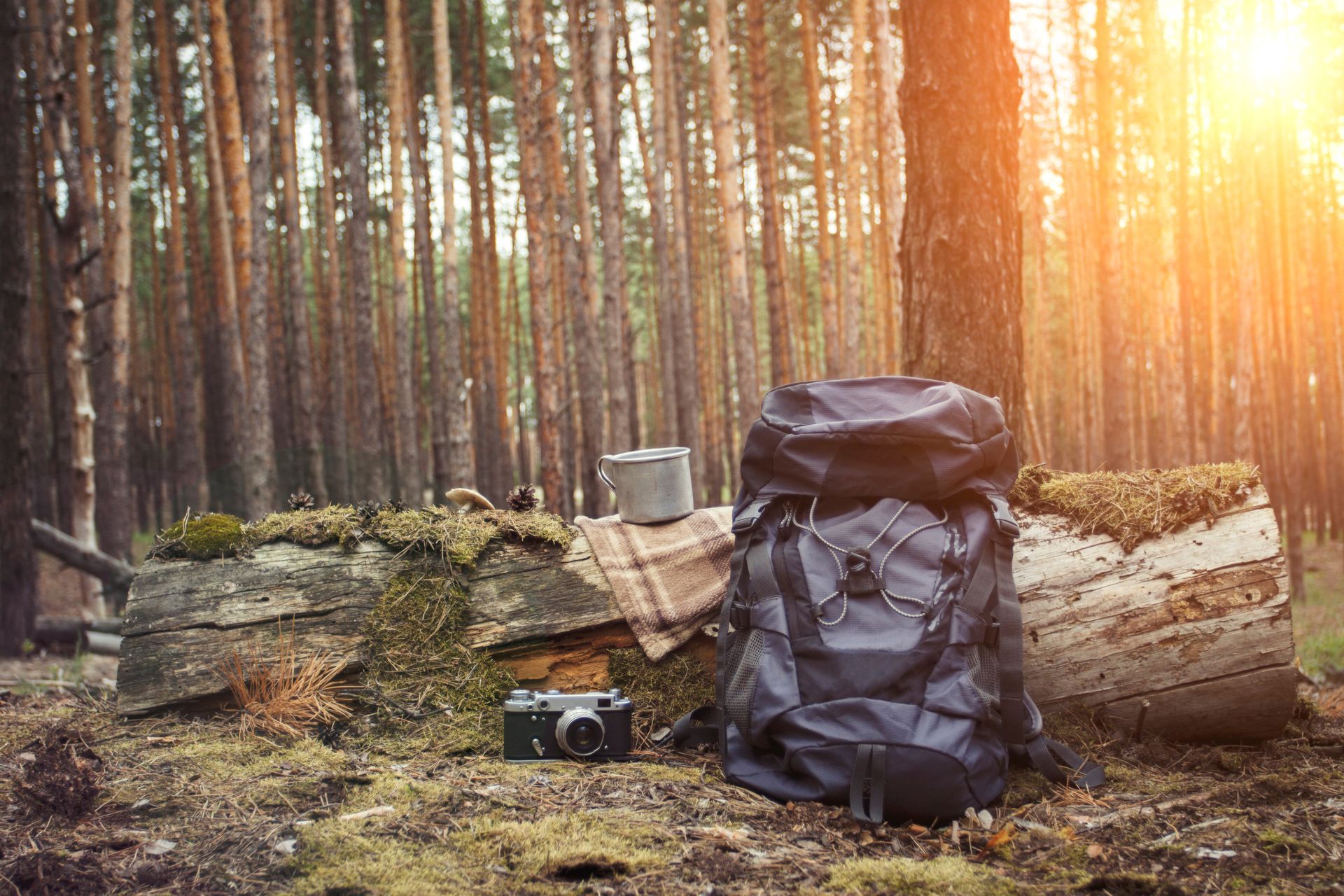 A backpack and a camera are sitting on a log in the woods.