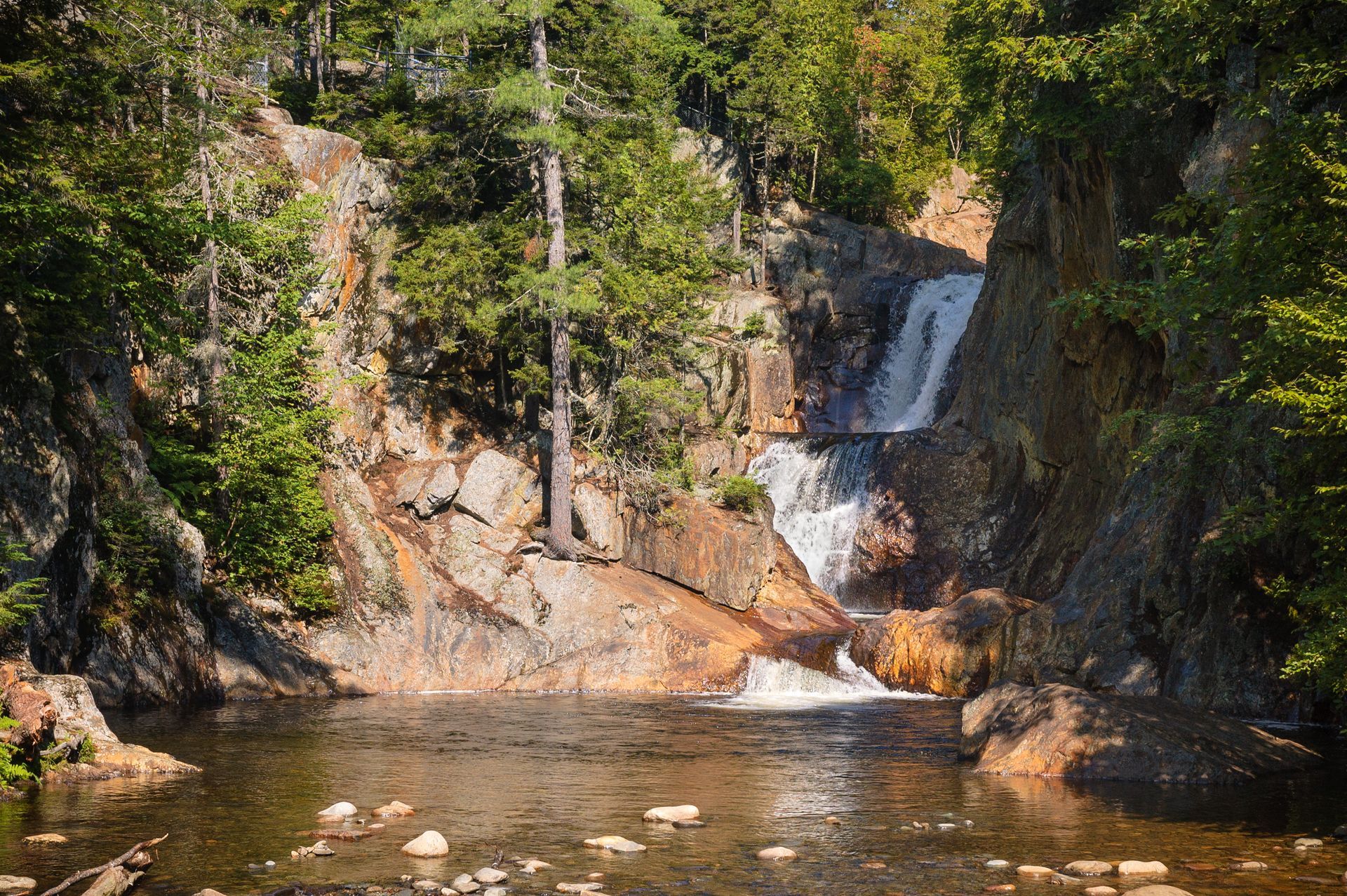 A waterfall is surrounded by trees and rocks in the middle of a river.