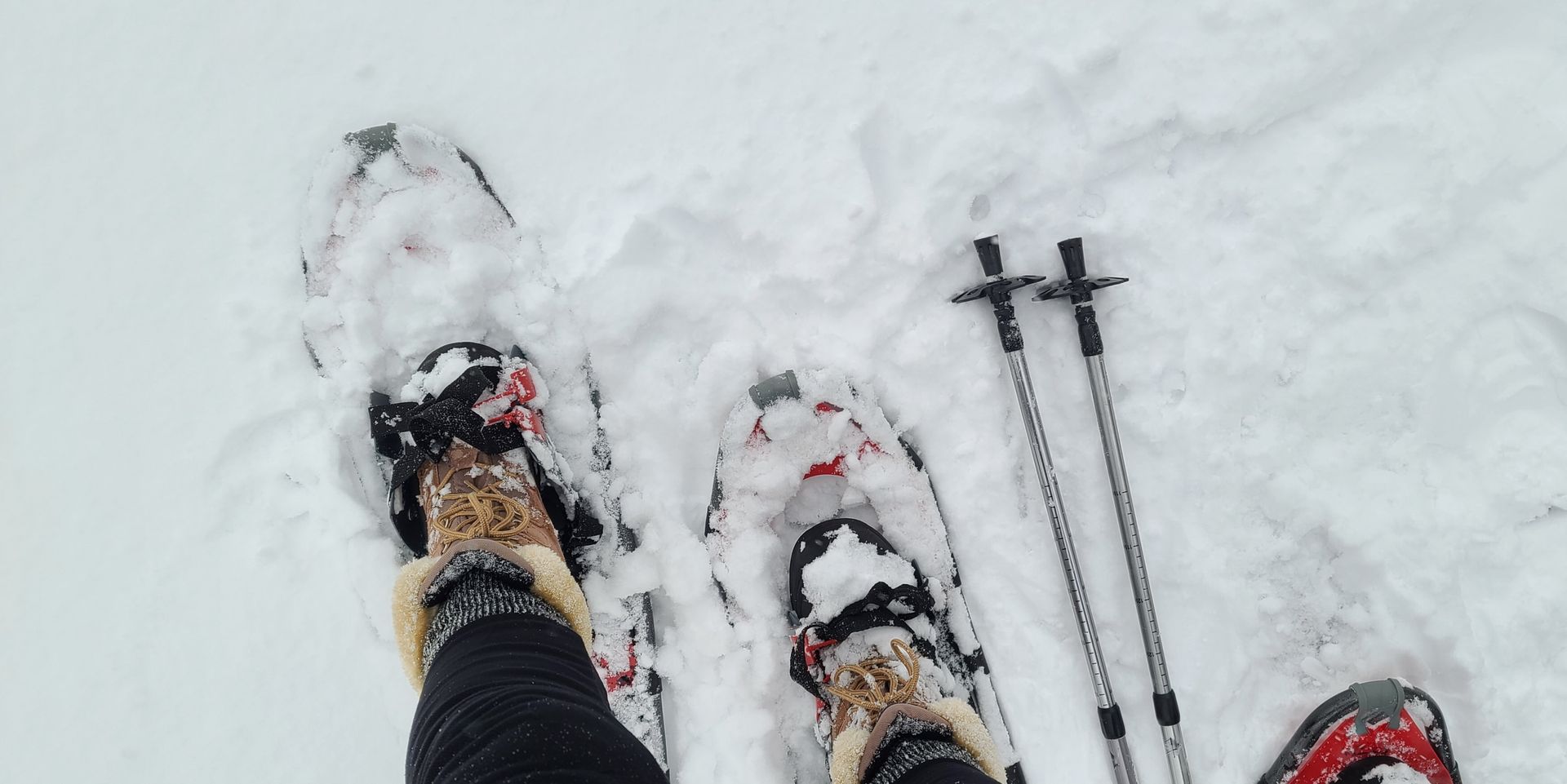 A person is wearing snowshoes and walking poles in the snow.