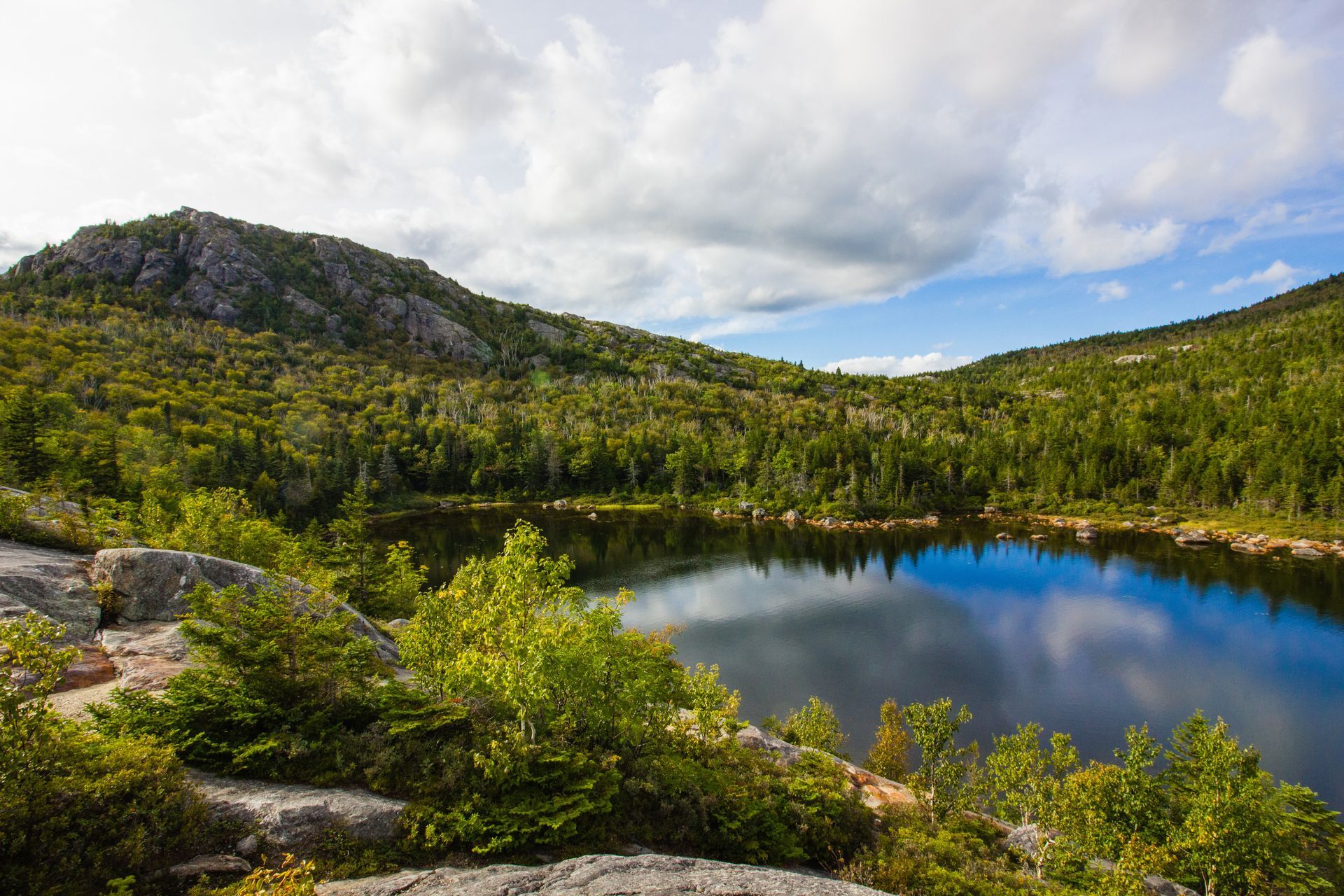 A small lake surrounded by trees and rocks in the middle of a forest.