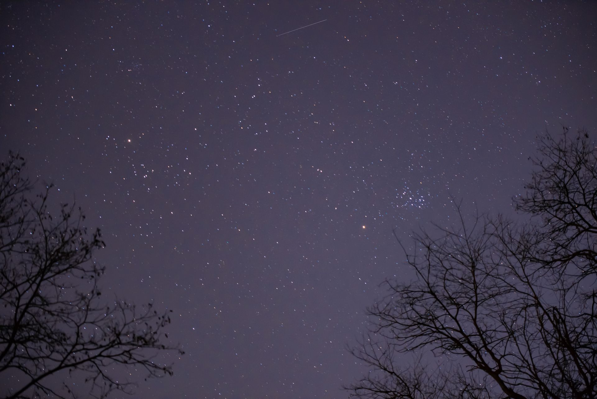 A night sky filled with lots of stars and trees in the foreground.