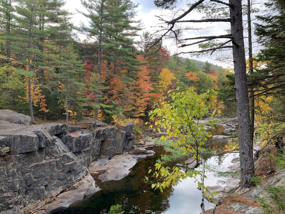 A river surrounded by trees and rocks in the middle of a forest.