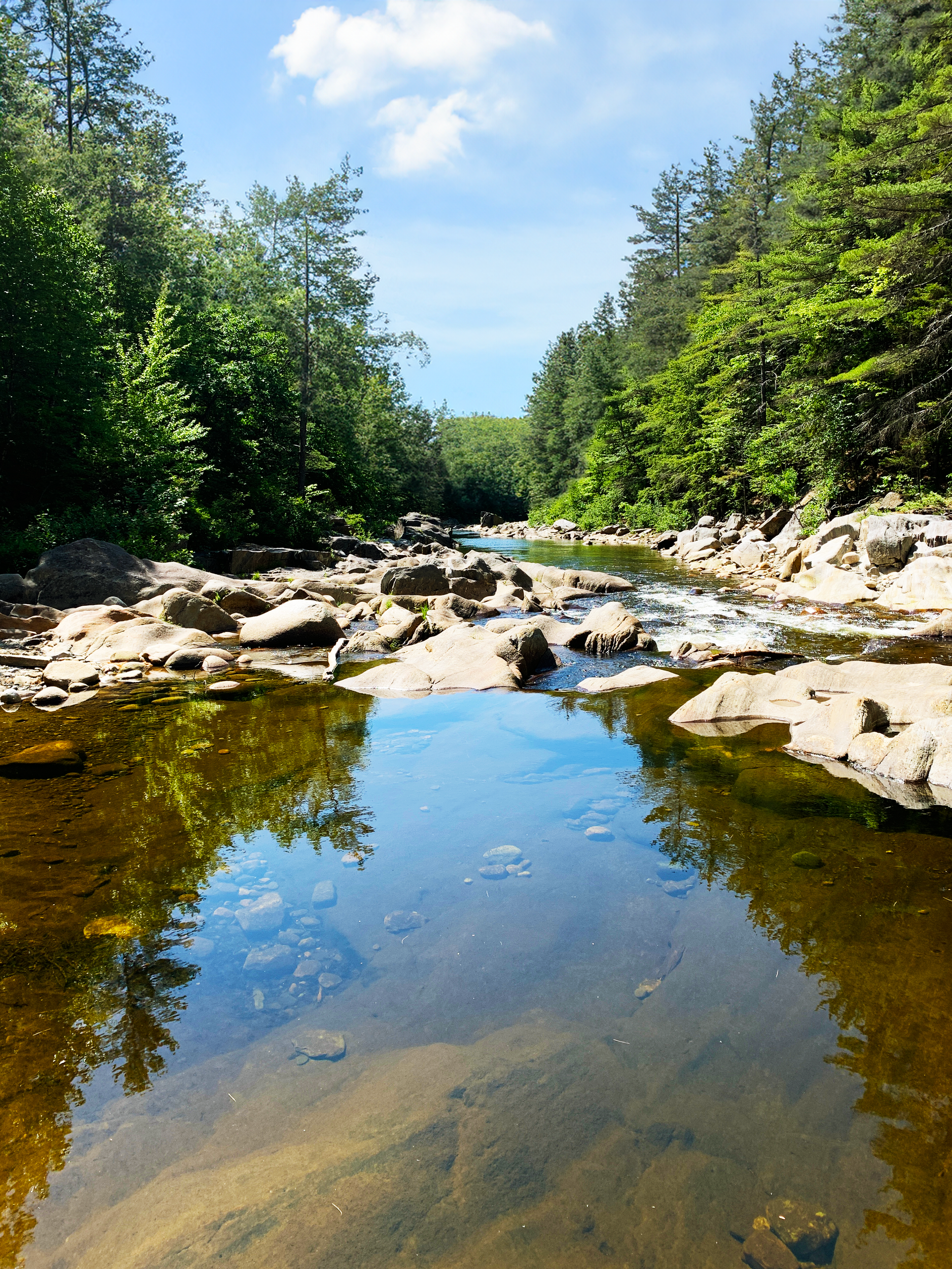 A river surrounded by trees and rocks on a sunny day