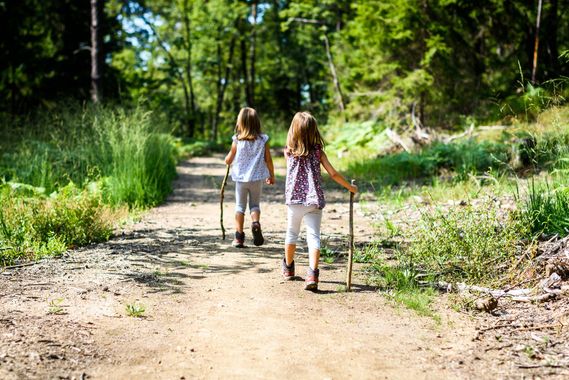 Two little girls are walking down a dirt path in the woods.