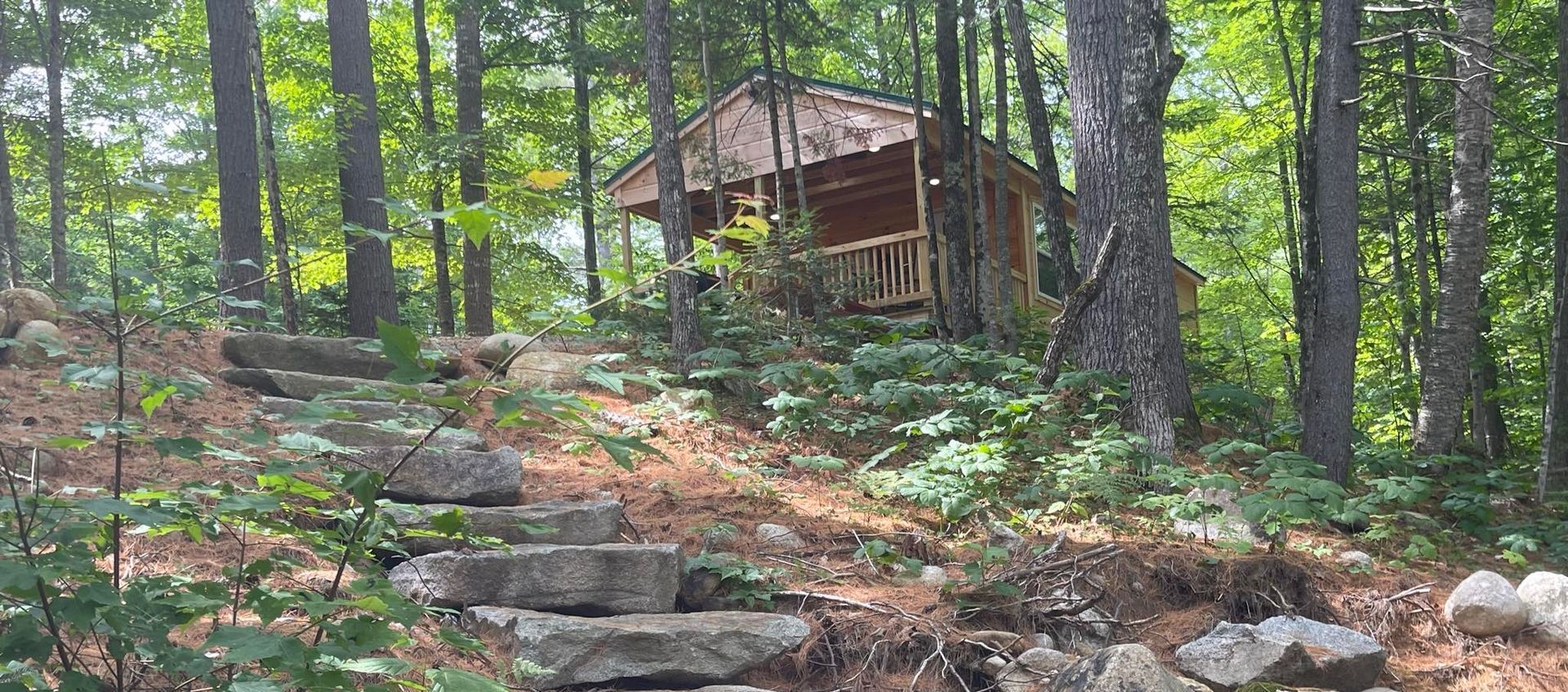A small cabin in the middle of a forest with stairs leading up to it.