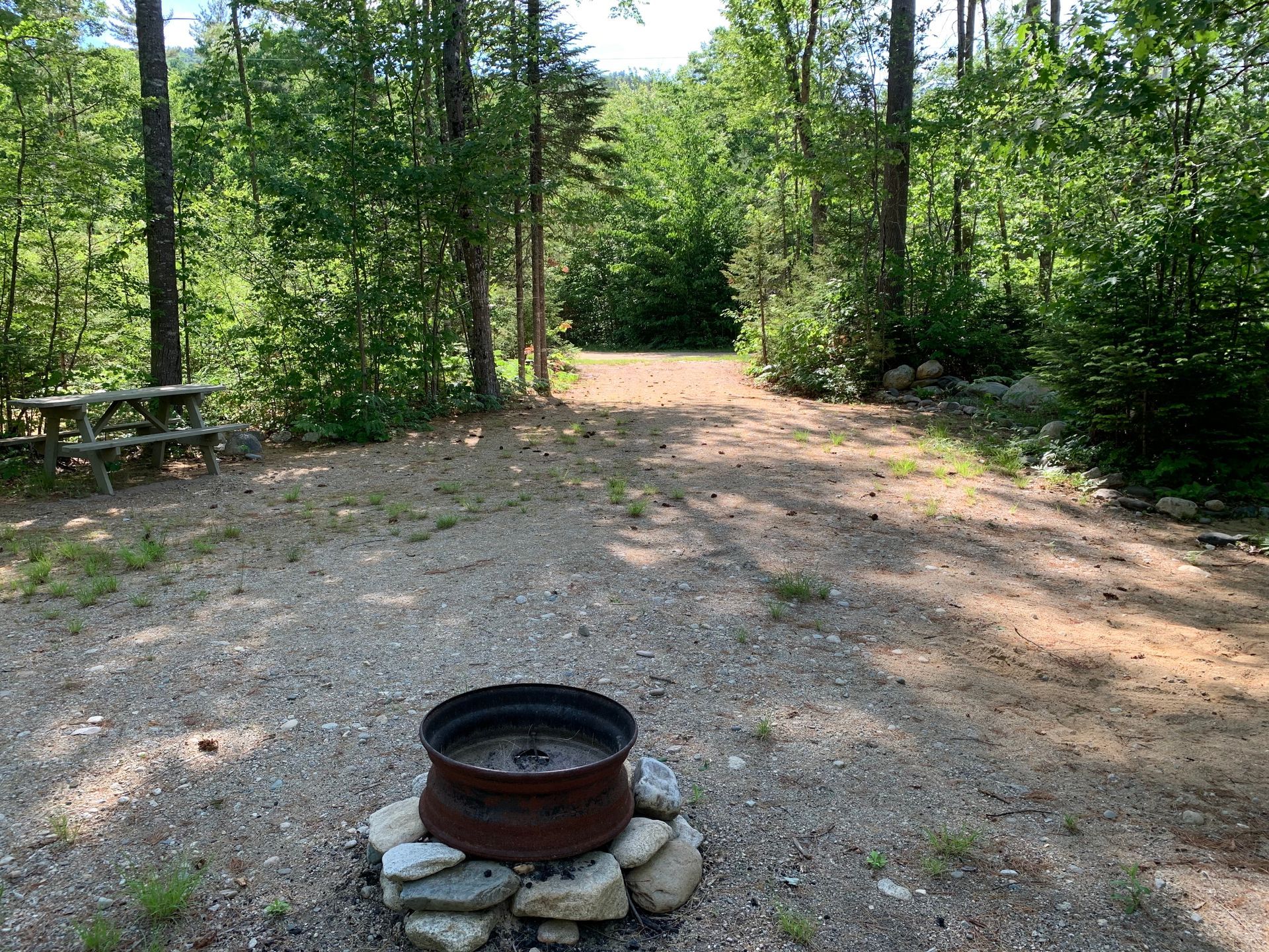 A fire pit in the middle of a dirt road in the woods.