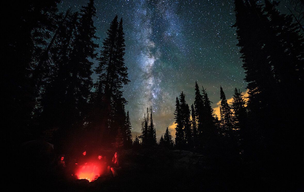 A campfire in the middle of a forest under a starry night sky.