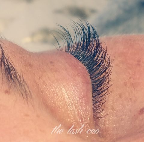 eyelash extensions classes, trainer for lashes, lash business