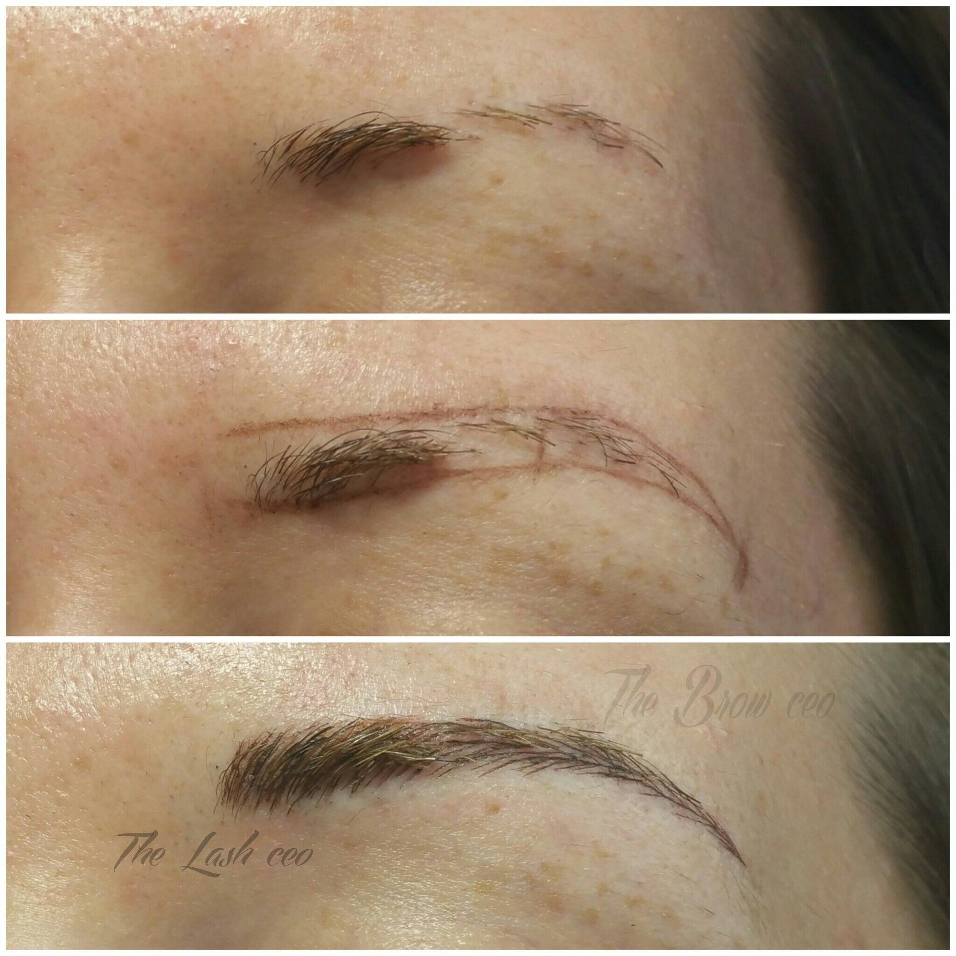 microblading training, brow class, brow class VA, brow training NC, microblading DE, N. Carolina Microblading, brow mentor