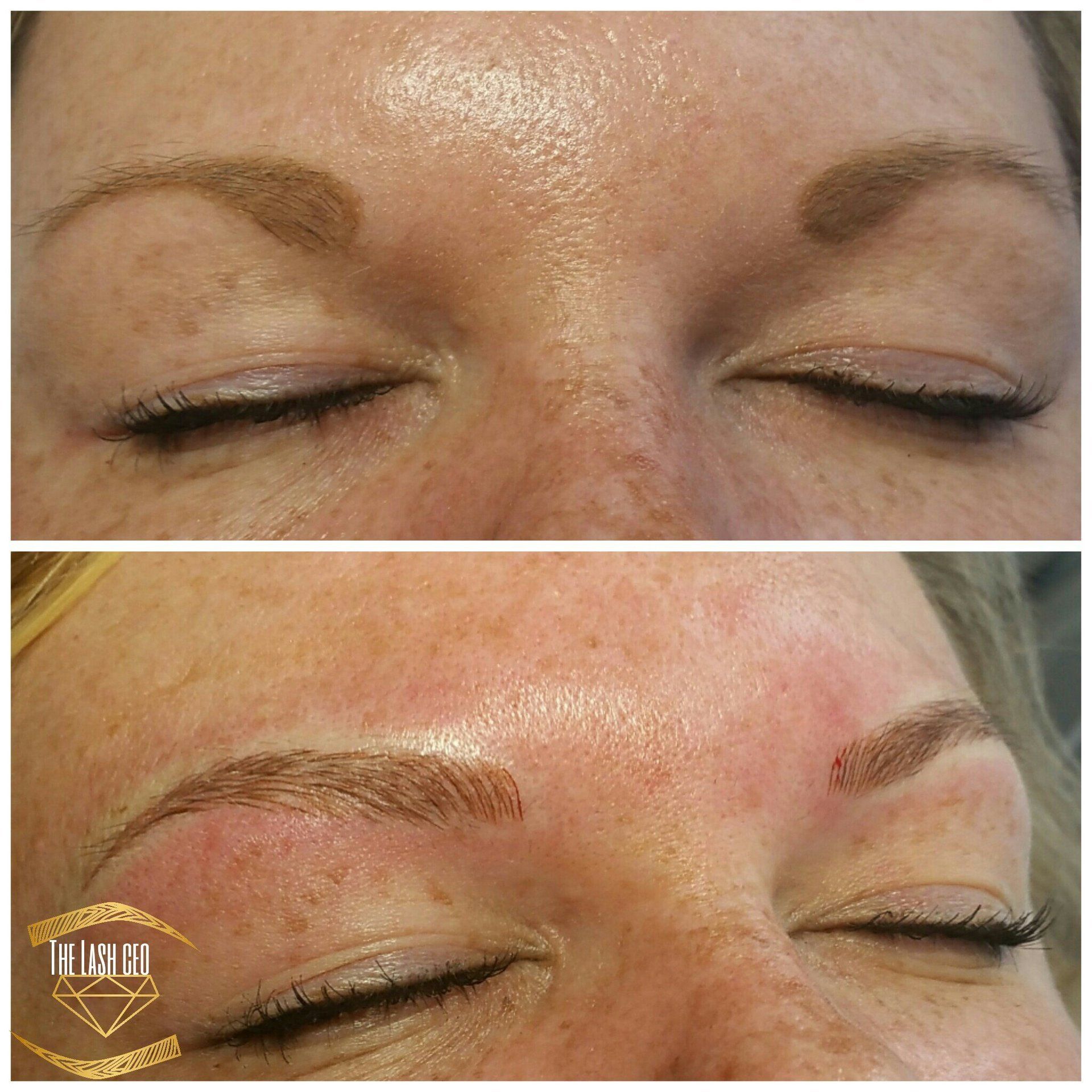 microblading training, brow class, brow class VA, brow training NC, microblading DE, N. Carolina Microblading, brow mentor