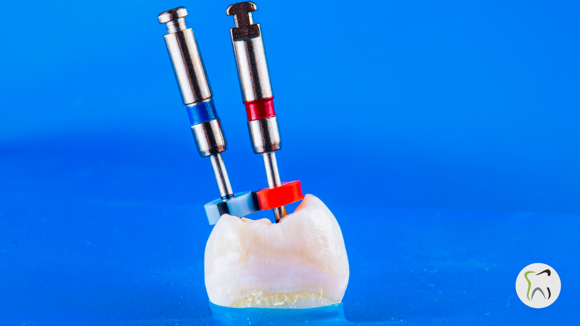 Two dental drills are sitting on top of a tooth on a blue surface.