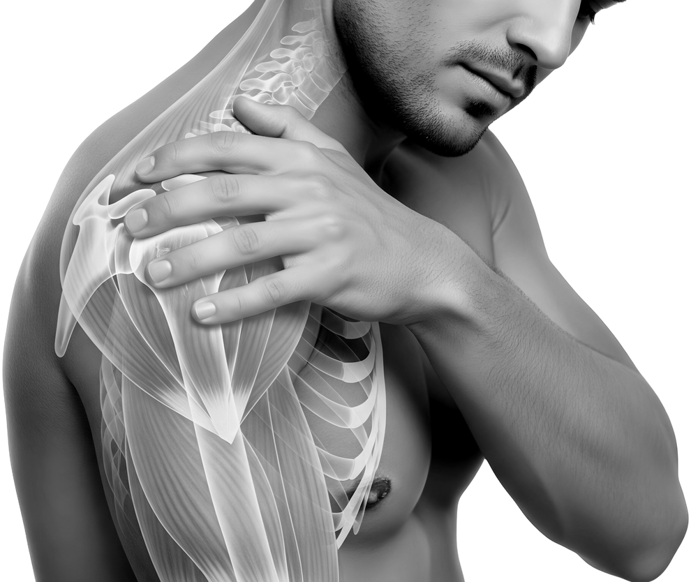 Man holding shoulder, skeletal and muscular overlay indicates pain.