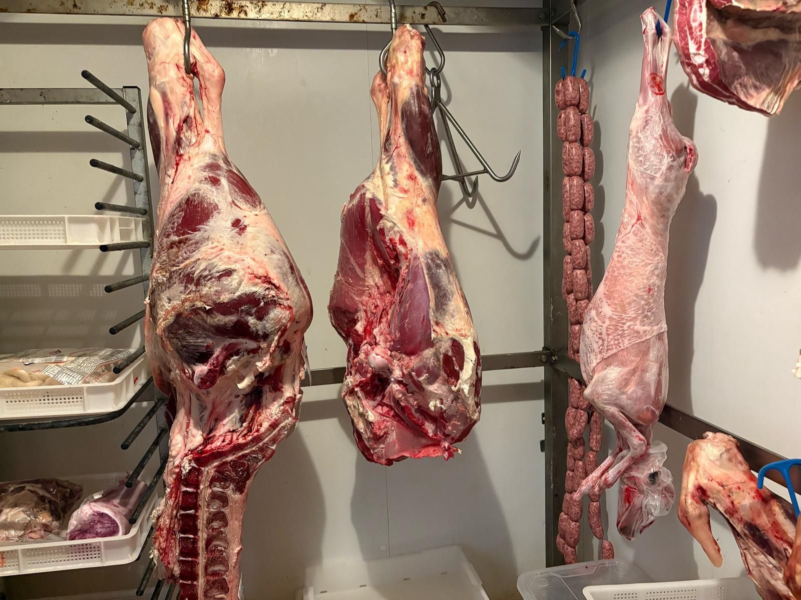 carne appesa in cella frigo