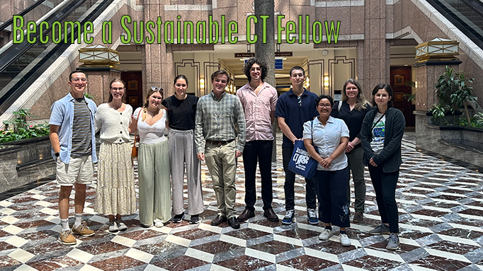 About the Sustainable CT Fellowship Program