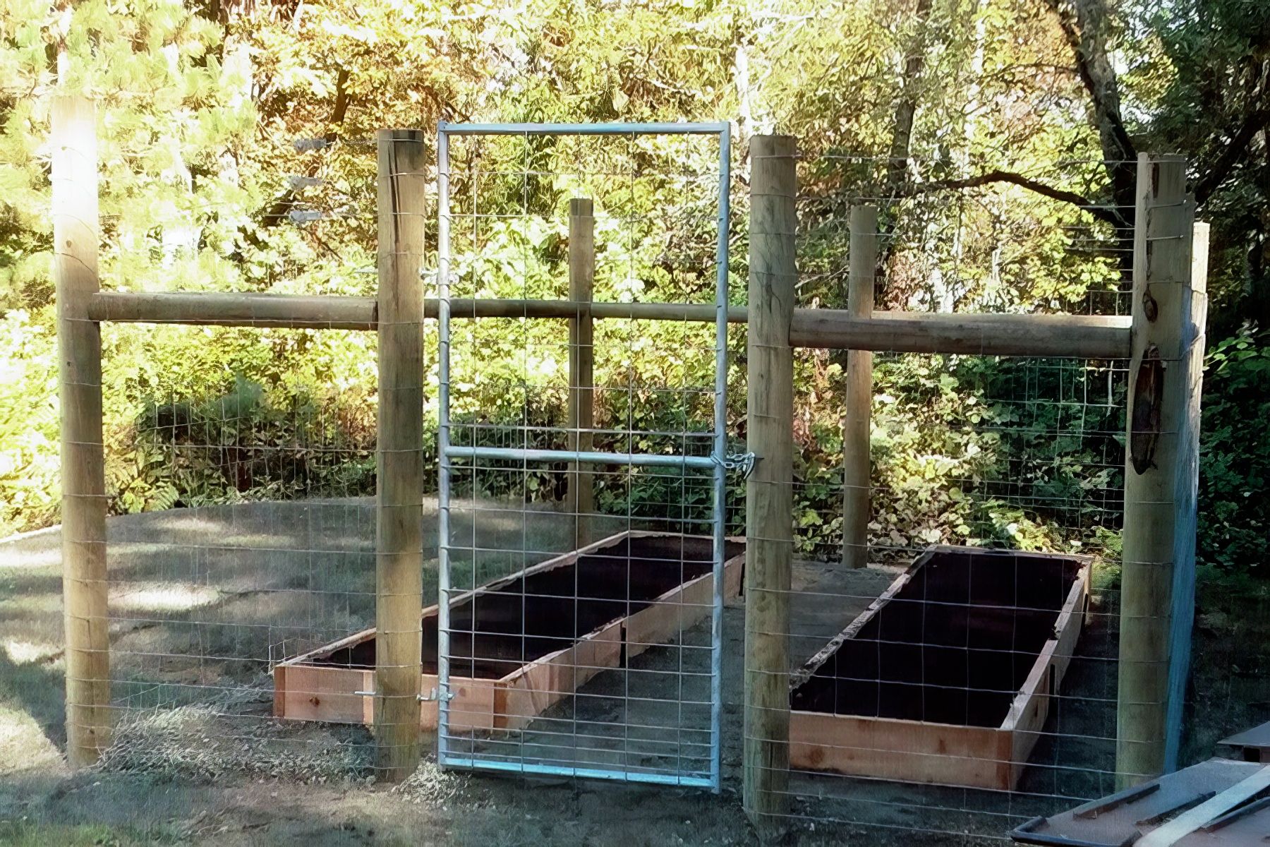 Raised garden beds beside a blue wire gate in a wooded outdoor area