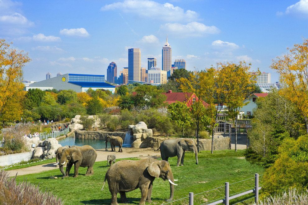 Denver Zoo Image