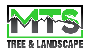 MTS Tree Service Sammamish