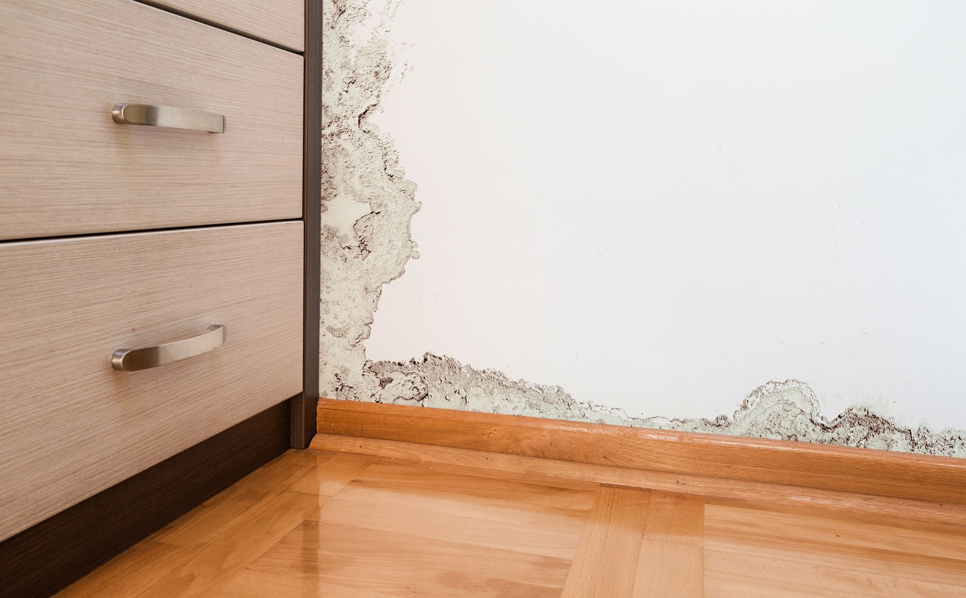 MOLD REMOVAL SERVICES PUEBLO 