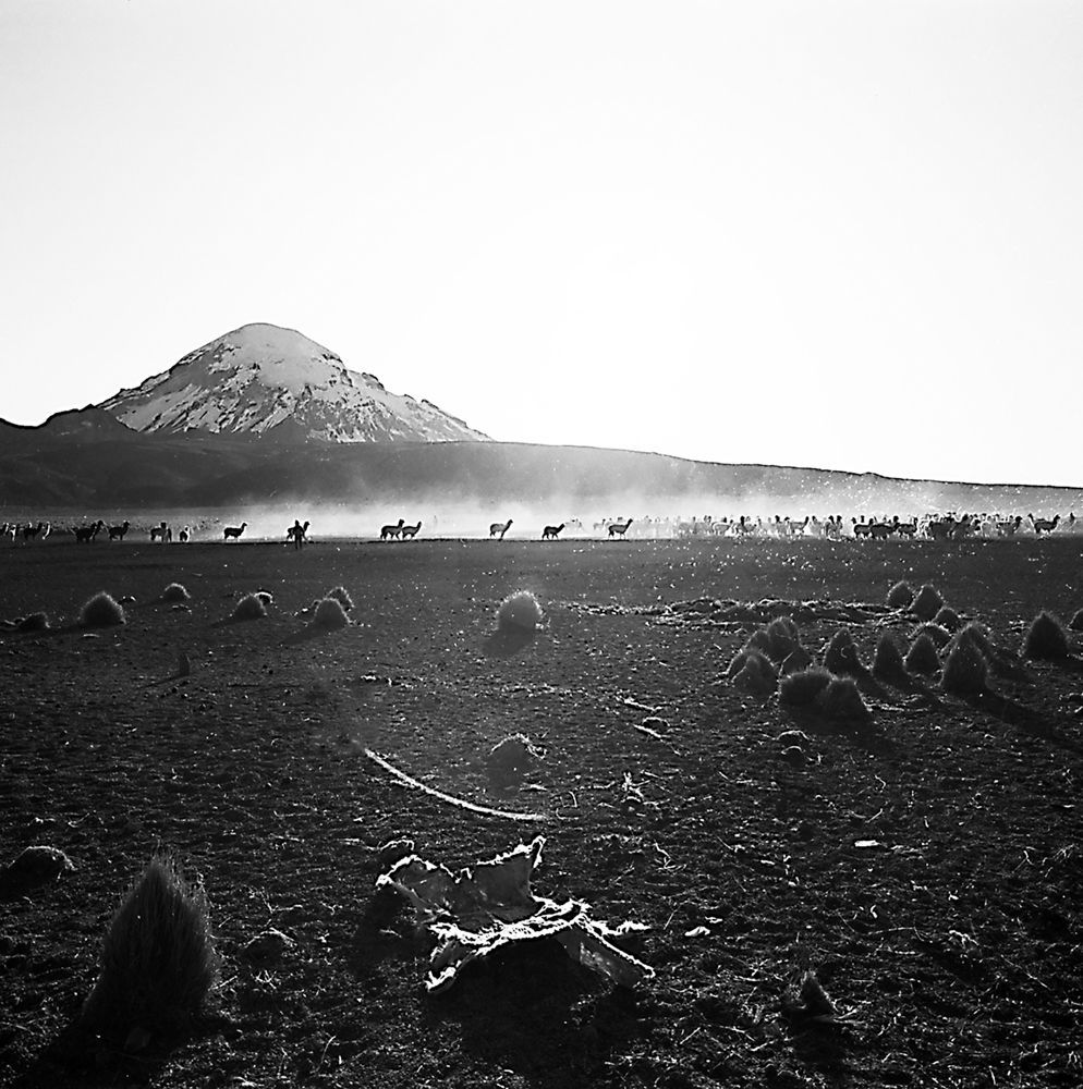 Ein Schwarzweissfoto eines Feldes mit einem Berg im Hintergrund
