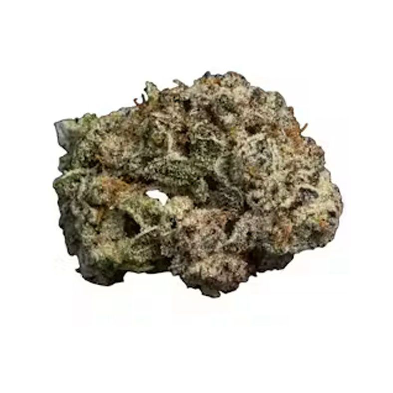 A close up of a piece of weed on a white background.
