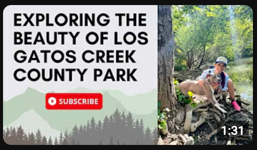 Screenshot of a video of Carla exploring a park