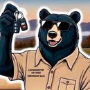 Locksmith of the Smokies - serving Pigeon Forge Logo