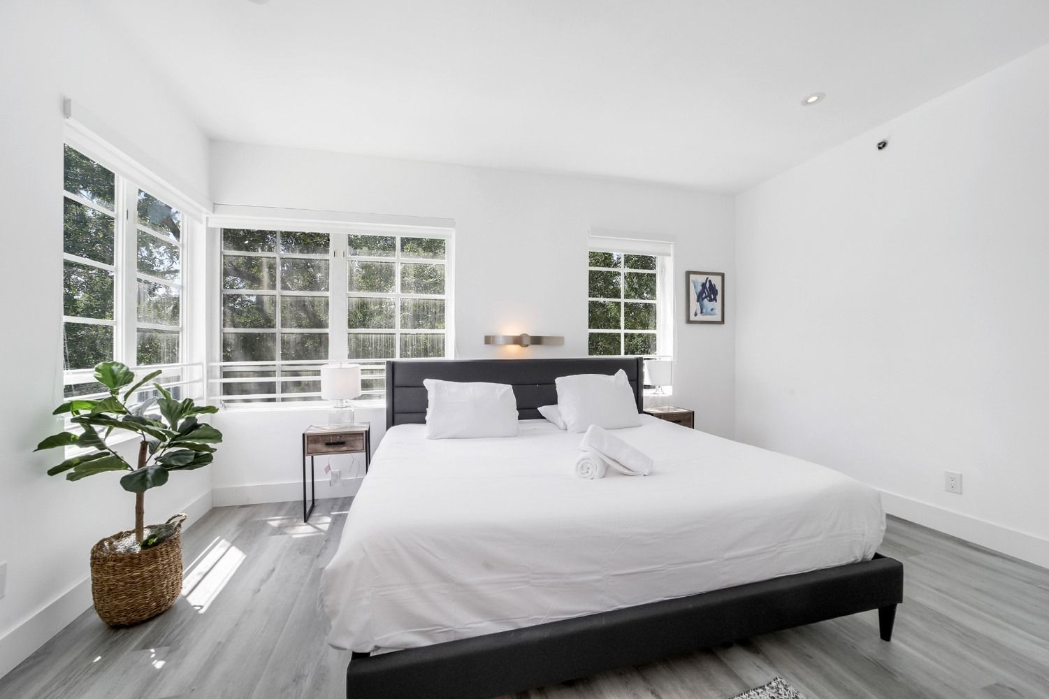 Bedroom with large bed, white linens, windows, and potted plant.