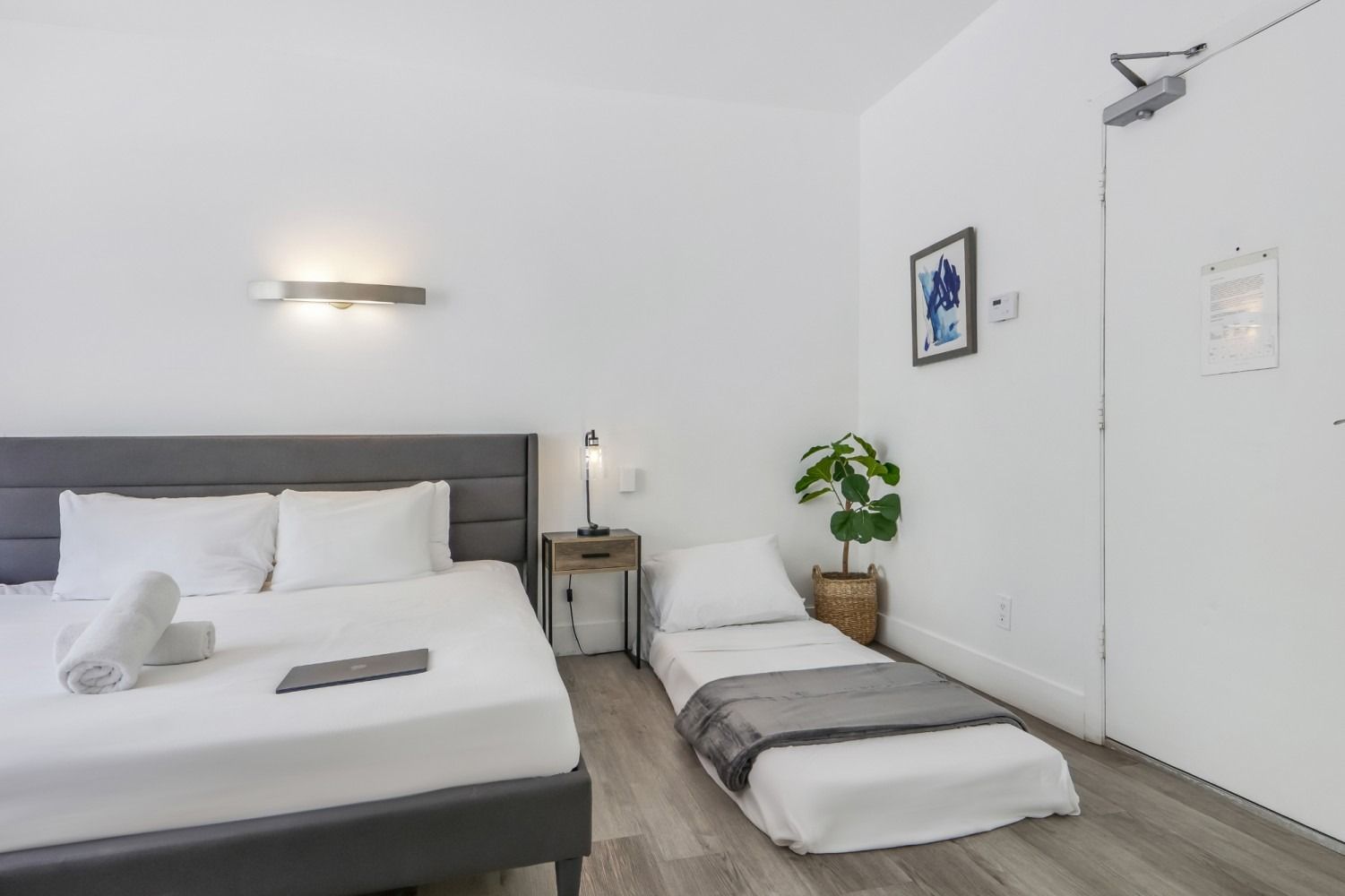 Hotel room with two beds, white walls, gray bed frame, and potted plant.