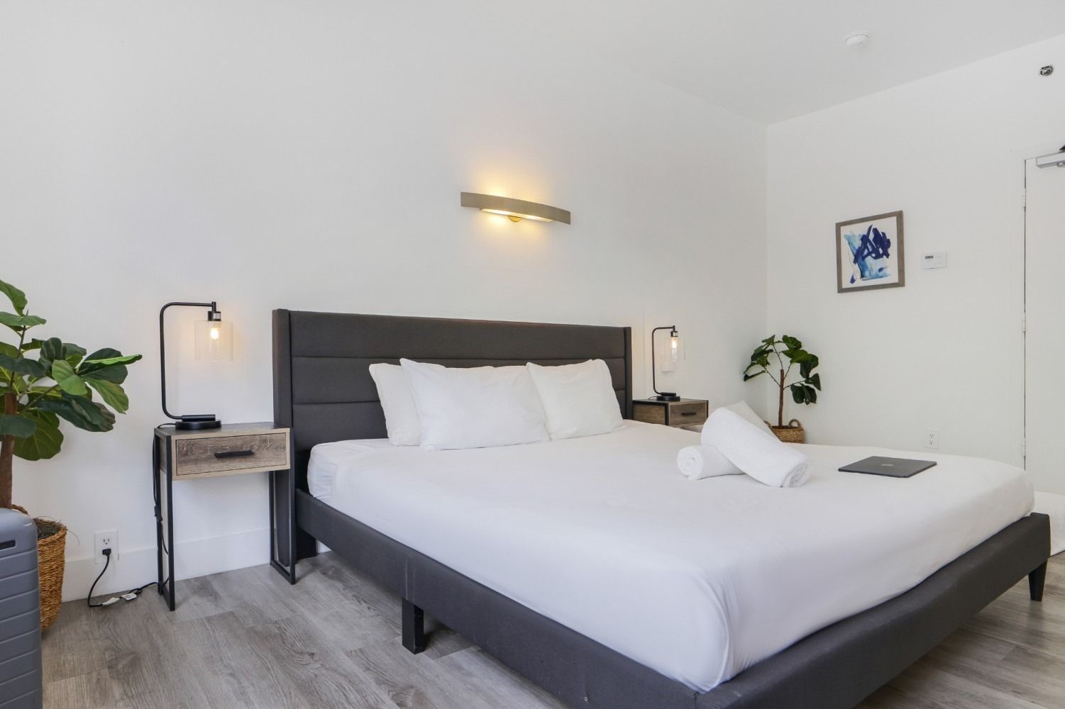 King-size bed in a modern room with gray headboard, two nightstands, and plants.