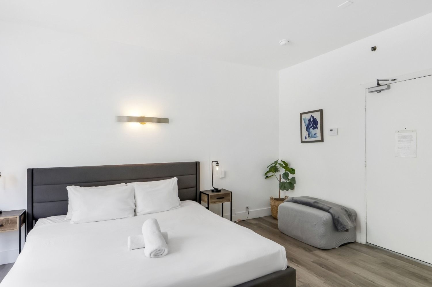A bedroom with a bed, nightstand, art, and a plant. White walls, gray bed frame, and wooden floors.