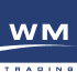 Logo Wm Azul