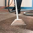 A person is using a vacuum cleaner to clean a carpet.