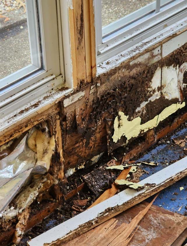Damage Wood— Beachwood, NJ — McGuire & McGuire Property Maintenance & Repair
