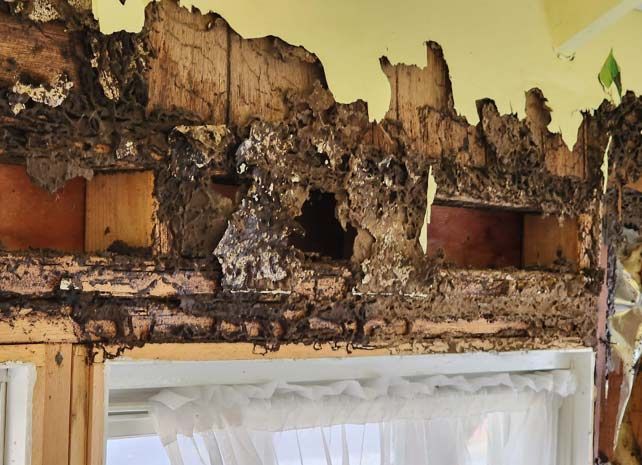 Repair House — Beachwood, NJ — McGuire & McGuire Property Maintenance & Repair